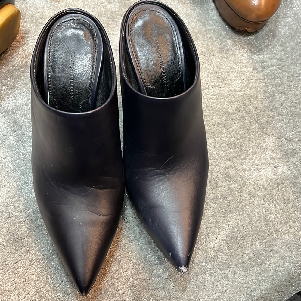 Scanlan theodore mule